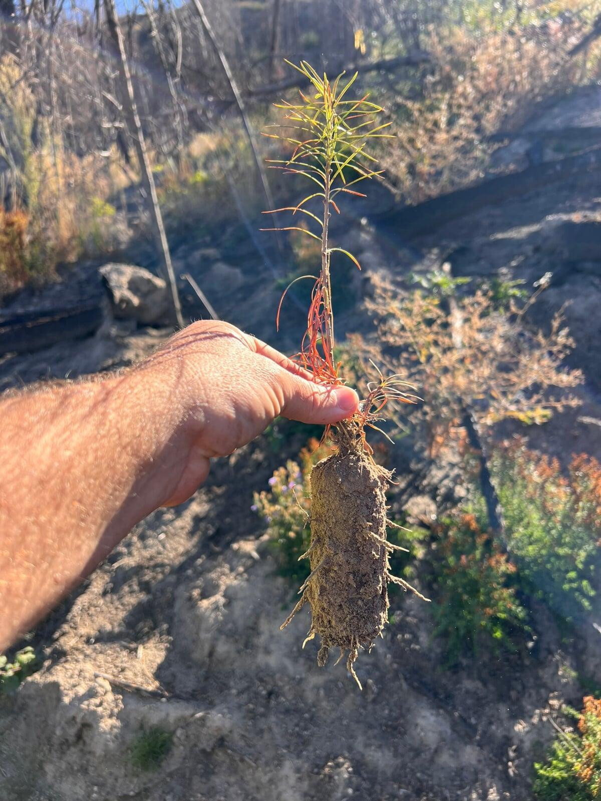 AirTray trial with Inland Empire Paper