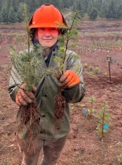 Better root structure